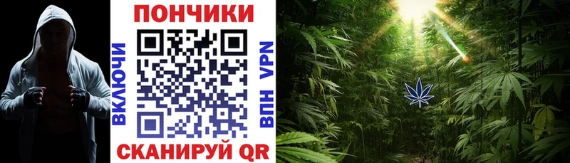 МАРИХУАНА AK-47  Купить закладки  Мышкин 